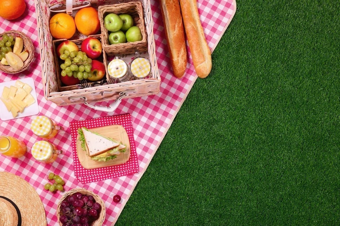 alimente pentru picnic iarba verde